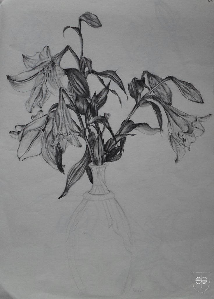 SAM_0097 SAM_0097